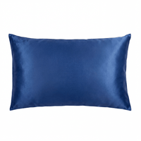 Pillowcase - Blue - Queen