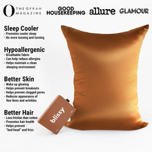 Load image into Gallery viewer, Pillowcase - Bronze - King
