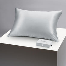 Load image into Gallery viewer, Pillowcase - Silver - Queen