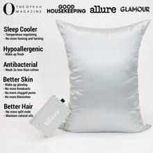 Load image into Gallery viewer, Pillowcase - Silver - Queen